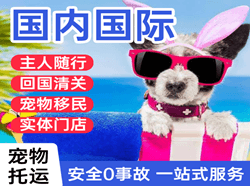承德机场托运国际宠物托运 【国
